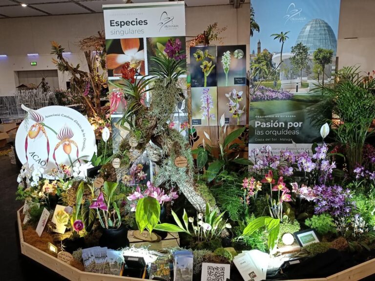 El Orquidario de Estepona recibe el segundo premio en la 24ª Conferencia Mundial de Orquídeas