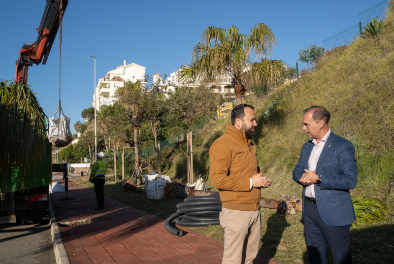 Benalmádena plantará casi 600 árboles en su segundo Plan especial de Arbolado
