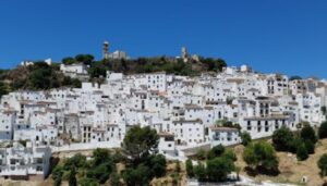 La Delegación de Medio Ambiente crea una página web sobre Casares Sostenible