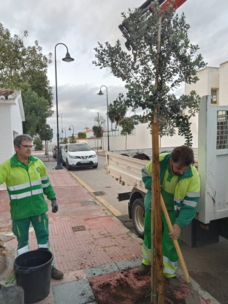 Portada - Plantacion arboles Mijas 1 768x1024 1 - Al Sol de la Costa
