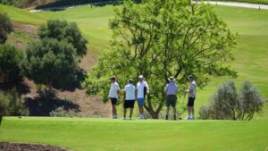 Portada - Turismo golf Mijas 768x432 1 - Al Sol de la Costa