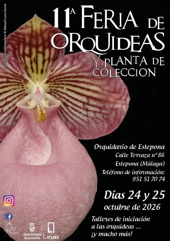 El Parque Botánico-Orquidario de Estepona acogerá el fin de semana la 11ª Feria de Orquídeas y Planta de Colección 1 El Parque Botánico-Orquidario de Estepona acogerá el fin de semana la 11ª Feria de Orquídeas y Planta de Colección - 0fa1 - Al Sol de la Costa