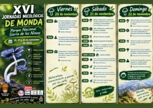 Portada - Programa Completo - Al Sol de la Costa